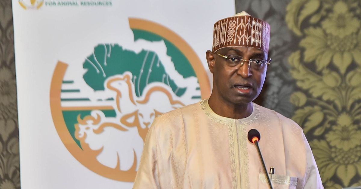 Nigeria to Prioritize Livestock Digital System for Sector Efficiency