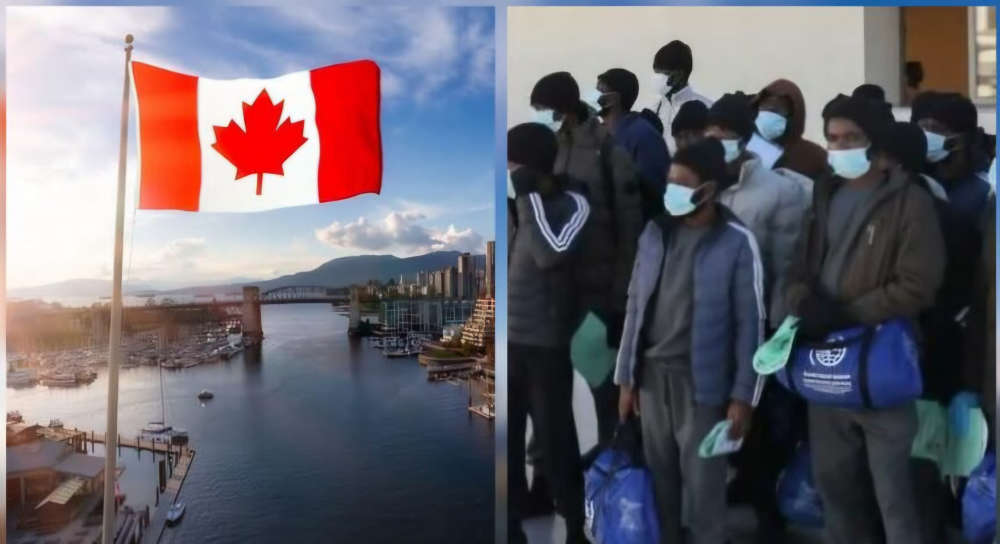 Canada Deports 366 Nigerians in 10 Months Amid Spike in Immigration Crackdown 