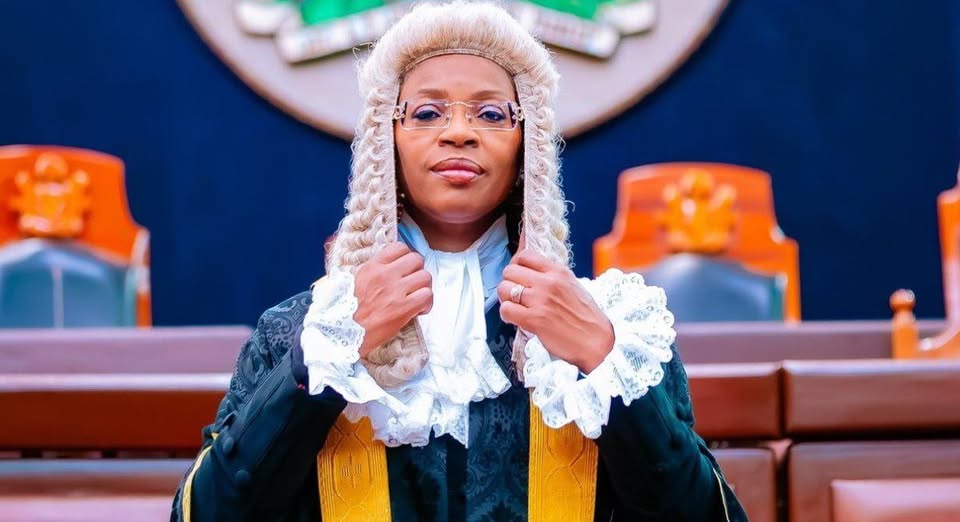 Nigerians Can Record Police on Duty, But Must Respect Their Privacy